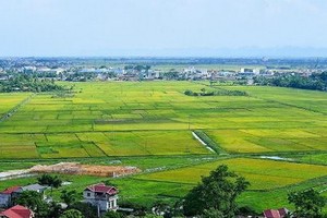 （示意圖源：互聯網） 