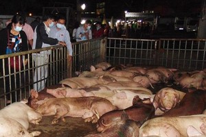 （示意圖源：互聯網） 