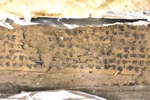 （圖源：互聯網） 