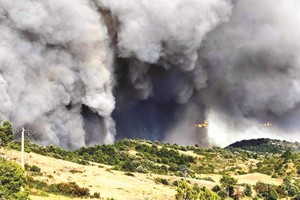 （圖源：互聯網） 