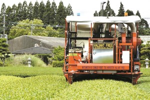 （圖源：互聯網）