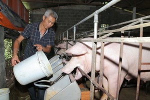 （示意圖源：互聯網）