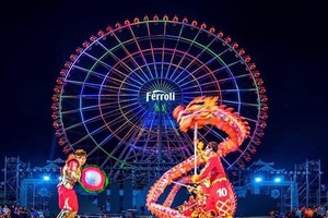 精英堂舞獅比賽的精彩一瞥。