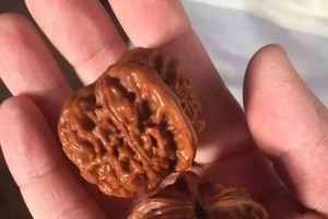 （示意圖源：互聯網） 