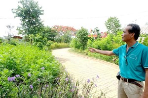 阮文商主任在介紹曾是垃圾場的紅玉花公園。