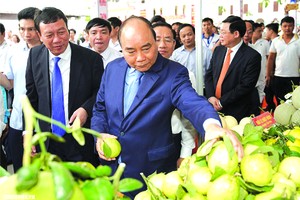 阮春福總理參觀新農村產品。