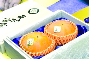 （示意圖源：互聯網） 