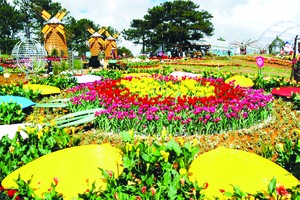 大勒花卉盛會成為國內外遊客觀光好去處。