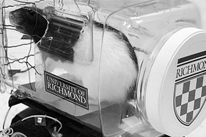 （圖源：互聯網）