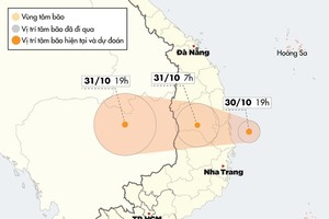 （圖源：互聯網）