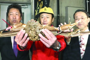 （圖源：互聯網） 