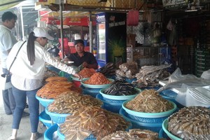 在九龍江平原選購海鮮乾貨。