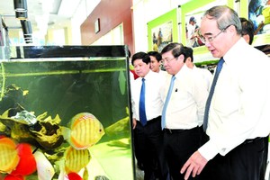 市領導在觀看本市農業成果展示。