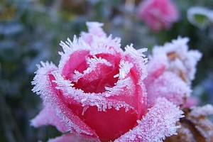 （示意圖源：互聯網） 