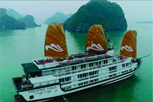 “天堂之帆”郵輪在下龍灣問世