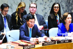 政府副總理，外長范平明（左）在辯論會上發言。