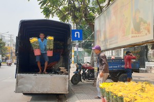 迎春花市開始運營