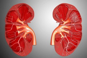 （示意圖源：互聯網） 