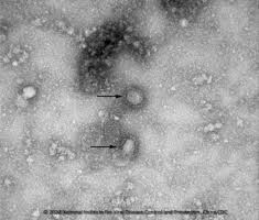 （示意圖源：互聯網） 