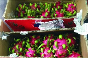 （圖源：互聯網） 