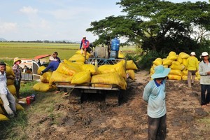 （圖源：互聯網） 