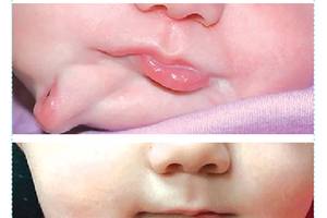 （圖源：互聯網） 