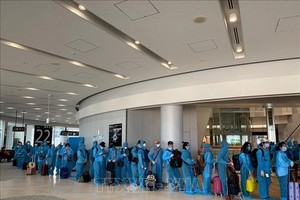 越南各職能機關、越南駐日本大使館和越南航空公司，昨(5)日組織航班從日本接回340多名越南公民並峴港國際機場安全降落。