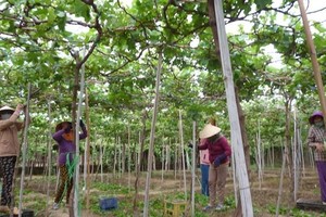 （示意圖源：互聯網） 