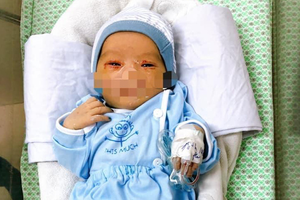 （圖源：互聯網） 