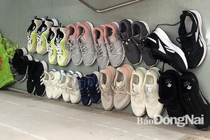 （圖源：baodongnai.com.vn） 