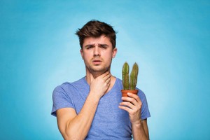 （示意圖源：互聯網） 