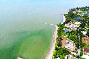 本市擬發展芹耶縣填海旅遊都市區。