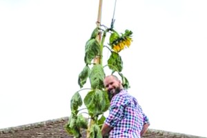 （圖源：互聯網） 