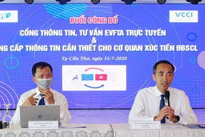 向企業諮詢 EVFTA 資訊網開通