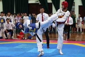 本市總共奪得33枚金牌。