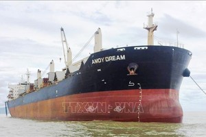 （示意圖源：TTXVN） 