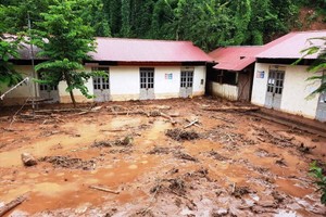 （圖源：互聯網） 