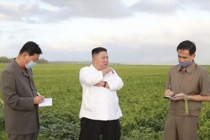 （圖源：互聯網） 