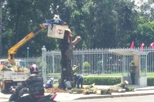 （圖源：互聯網） 