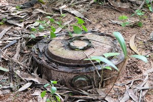 （示意圖源：互聯網） 