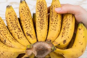 （示意圖源：互聯網） 