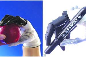 漢內斯可穩定地抓握蘋果及筆等物件。