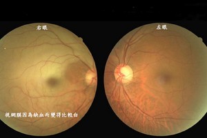 （圖源：互聯網） 