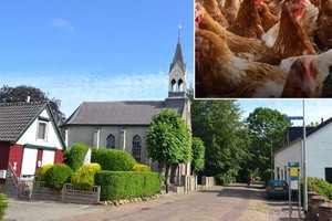 荷蘭阿爾特福斯特爆發H5N8禽流感疫情。