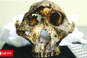 （圖源：互聯網） 