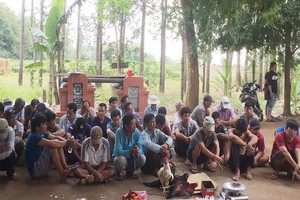 （圖源：互聯網） 