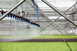 （示意圖源：互聯網） 