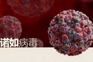 （圖源：互聯網） 