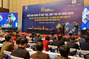 （圖源：互聯網） 