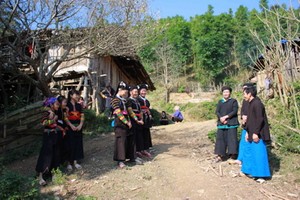 （示意圖源：互聯網） 